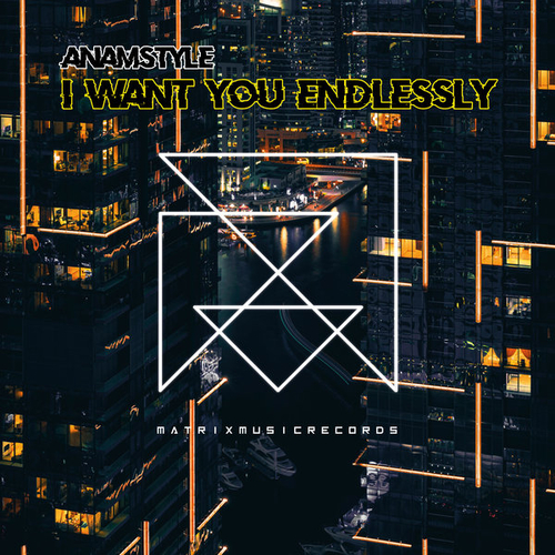 AnAmStyle - I Want You Endlessly [3617056314851]